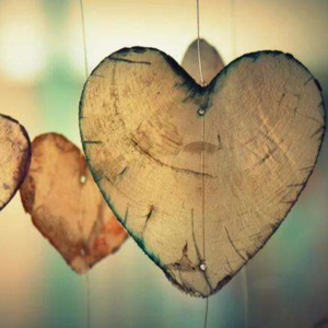 这里只有精品在线视频
